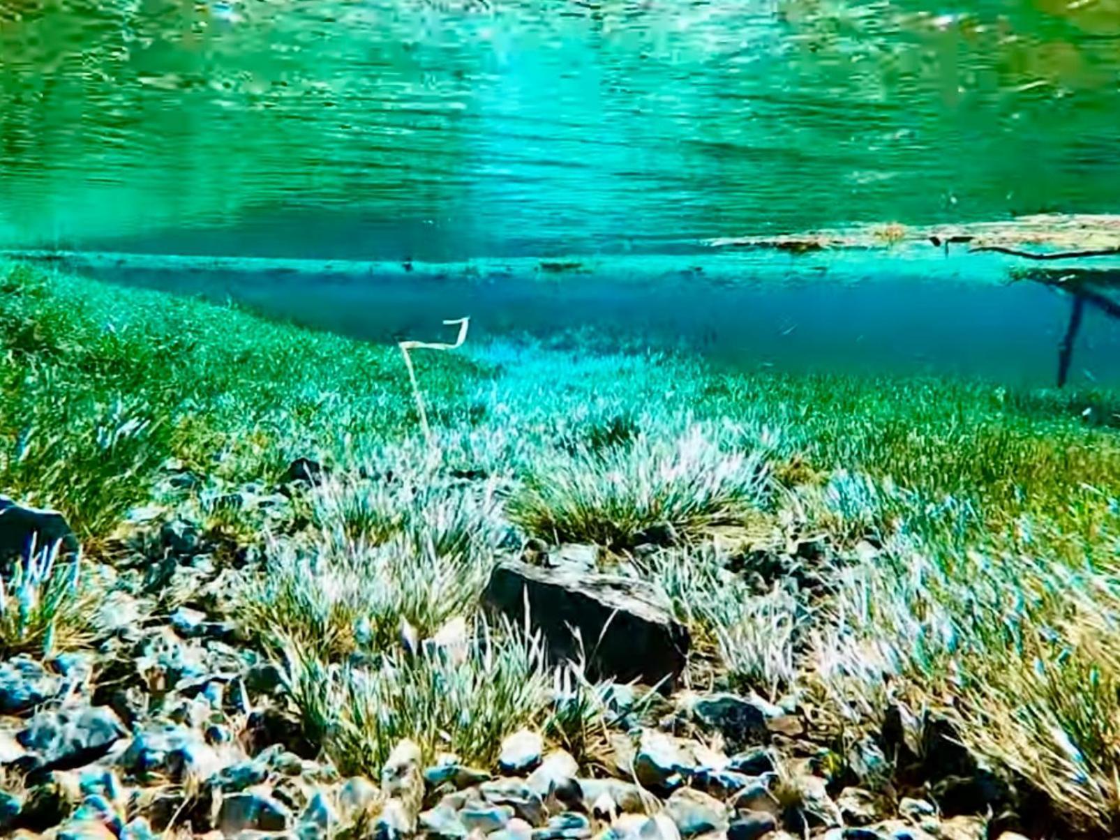 Gruener See Exklusiv Oberort ภายนอก รูปภาพ